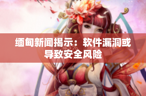 缅甸新闻揭示：软件漏洞或导致安全风险