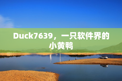 Duck7639，一只软件界的小黄鸭