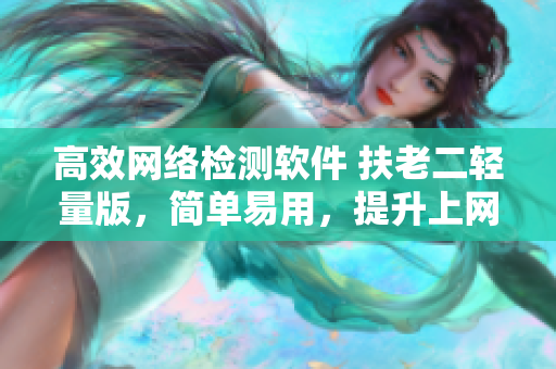 高效网络检测软件 扶老二轻量版，简单易用，提升上网体验