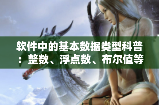 软件中的基本数据类型科普：整数、浮点数、布尔值等