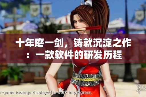 十年磨一剑，铸就沉淀之作：一款软件的研发历程