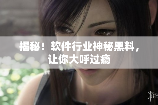 揭秘！软件行业神秘黑料，让你大呼过瘾