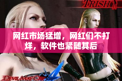 网红市场猛增，网红们不打烊，软件也紧随其后