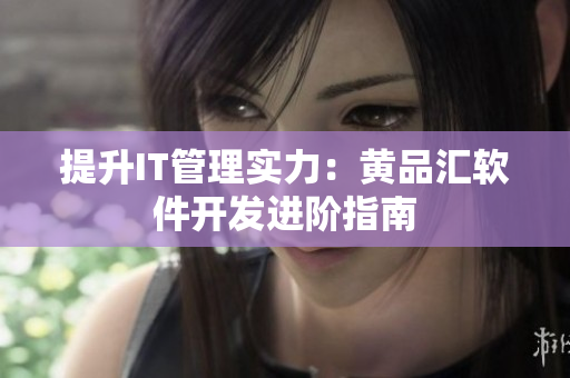 提升IT管理实力：黄品汇软件开发进阶指南