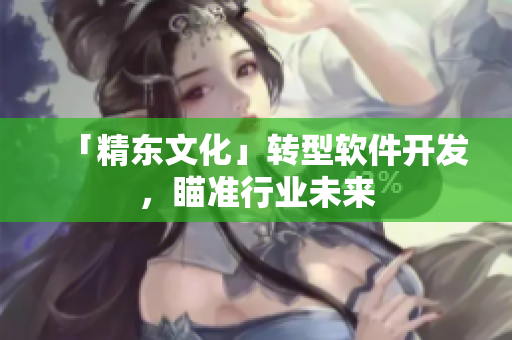 「精东文化」转型软件开发，瞄准行业未来