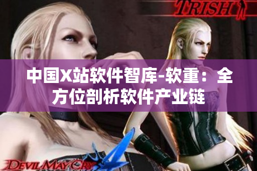 中国X站软件智库-软重：全方位剖析软件产业链