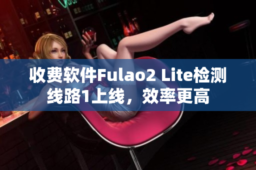 收费软件Fulao2 Lite检测线路1上线，效率更高