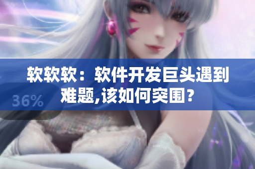 软软软：软件开发巨头遇到难题,该如何突围？