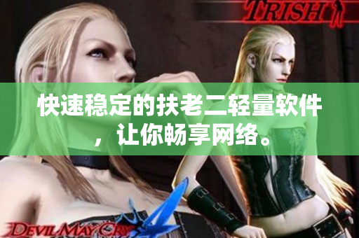 快速稳定的扶老二轻量软件，让你畅享网络。