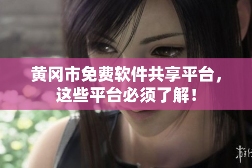 黄冈市免费软件共享平台，这些平台必须了解！
