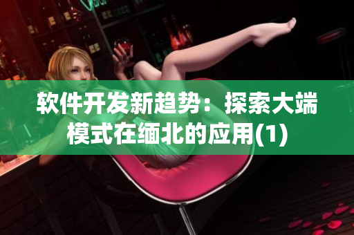软件开发新趋势：探索大端模式在缅北的应用(1)