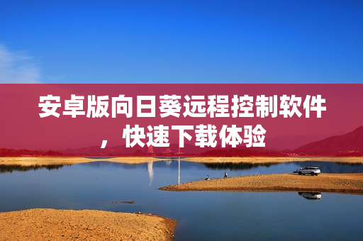安卓版向日葵远程控制软件，快速下载体验