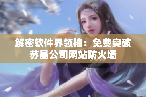 解密软件界领袖：免费突破苏晶公司网站防火墙