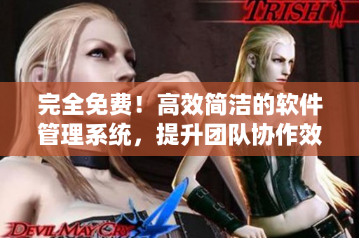 完全免费！高效简洁的软件管理系统，提升团队协作效率