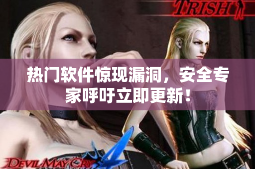 热门软件惊现漏洞，安全专家呼吁立即更新！