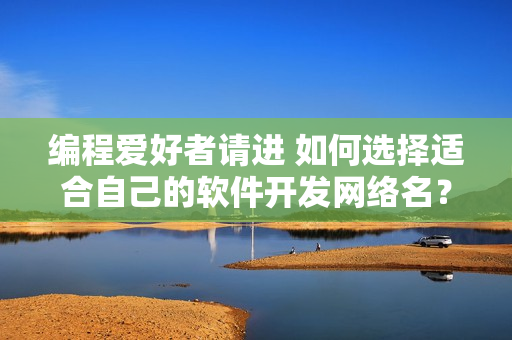 编程爱好者请进 如何选择适合自己的软件开发网络名？