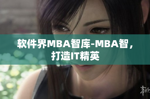 软件界MBA智库-MBA智，打造IT精英