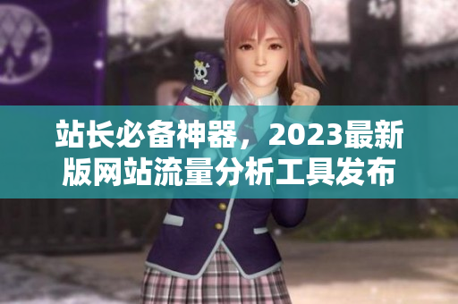 站长必备神器，2023最新版网站流量分析工具发布
