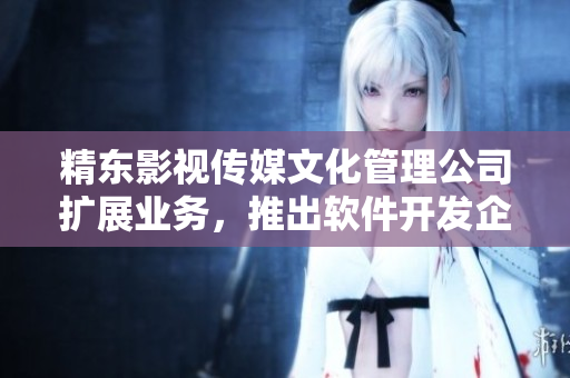 精东影视传媒文化管理公司扩展业务，推出软件开发企划方案。