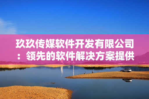 玖玖传媒软件开发有限公司：领先的软件解决方案提供商