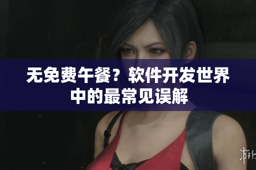 无免费午餐？软件开发世界中的最常见误解