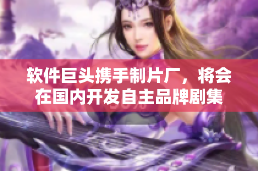 软件巨头携手制片厂，将会在国内开发自主品牌剧集