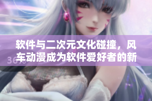 软件与二次元文化碰撞，风车动漫成为软件爱好者的新宠