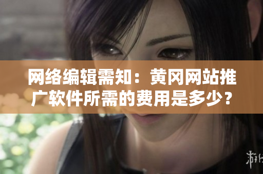 网络编辑需知：黄冈网站推广软件所需的费用是多少？