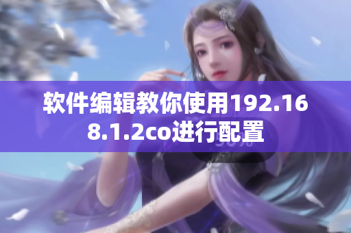 软件编辑教你使用192.168.1.2co进行配置
