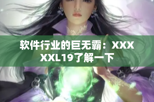 软件行业的巨无霸：XXXXXL19了解一下