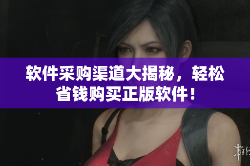 软件采购渠道大揭秘，轻松省钱购买正版软件！