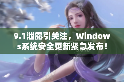 9.1泄露引关注，Windows系统安全更新紧急发布！