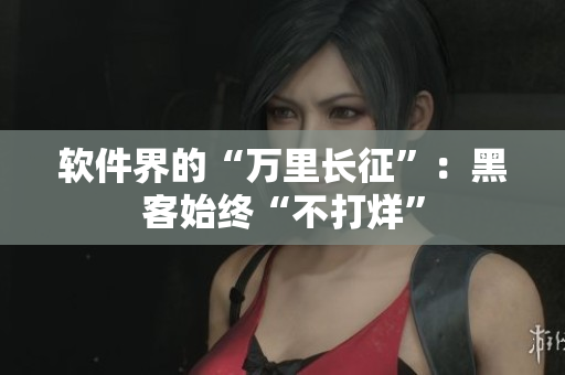 软件界的“万里长征”：黑客始终“不打烊”