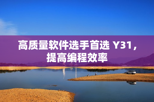高质量软件选手首选 Y31，提高编程效率