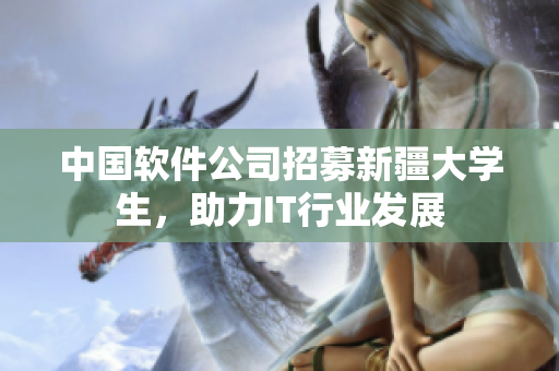 中国软件公司招募新疆大学生，助力IT行业发展