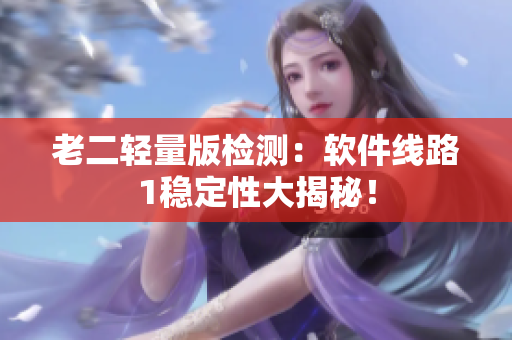 老二轻量版检测：软件线路1稳定性大揭秘！