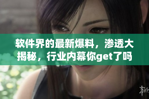 软件界的最新爆料，渗透大揭秘，行业内幕你get了吗？
