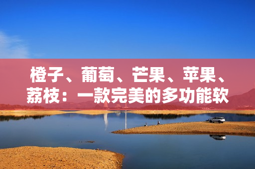 橙子、葡萄、芒果、苹果、荔枝：一款完美的多功能软件推荐