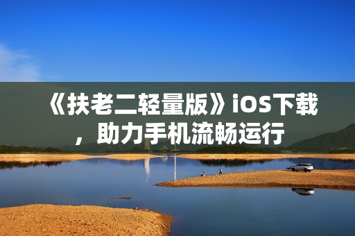 《扶老二轻量版》iOS下载，助力手机流畅运行