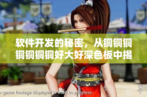 软件开发的秘密，从铜铜铜铜铜铜铜好大好深色板中揭示