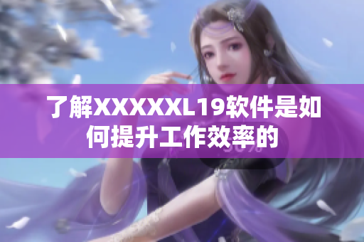 了解XXXXXL19软件是如何提升工作效率的