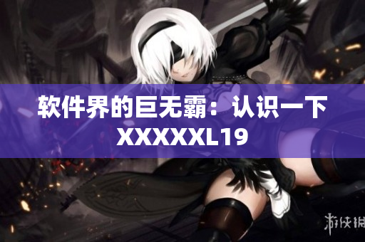 软件界的巨无霸：认识一下XXXXXL19