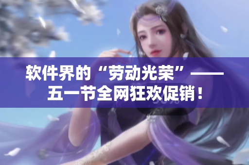 软件界的“劳动光荣”——五一节全网狂欢促销！