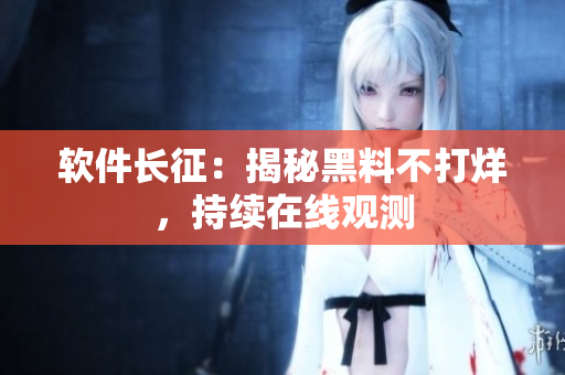 软件长征：揭秘黑料不打烊，持续在线观测