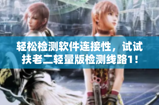 轻松检测软件连接性，试试扶老二轻量版检测线路1！