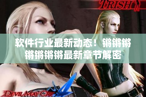 软件行业最新动态！锵锵锵锵锵锵锵最新章节解密