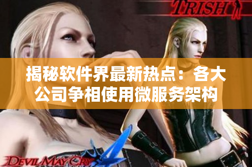 揭秘软件界最新热点：各大公司争相使用微服务架构