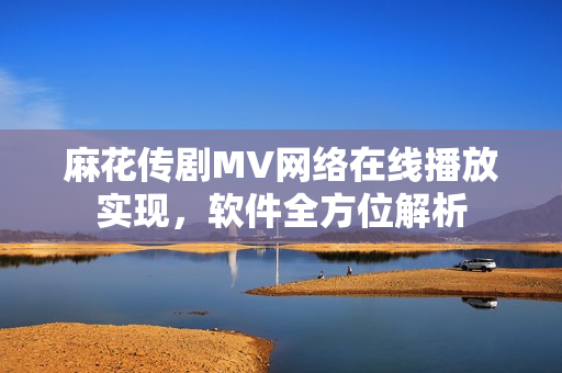 麻花传剧MV网络在线播放实现，软件全方位解析